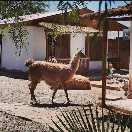 Cabanas Voyage Atacama サン・ペドロ・デ・アタカマ エクステリア 写真