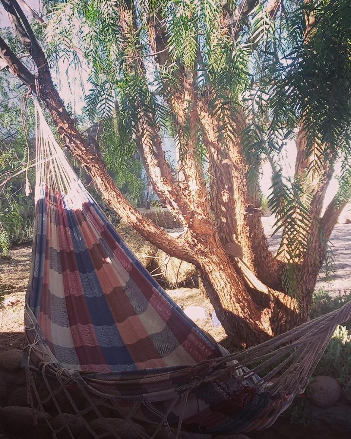 Cabanas Voyage Atacama サン・ペドロ・デ・アタカマ エクステリア 写真