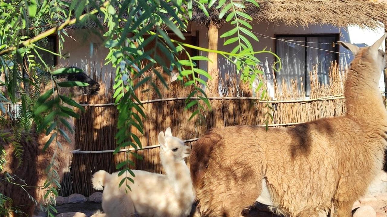 Cabanas Voyage Atacama サン・ペドロ・デ・アタカマ エクステリア 写真