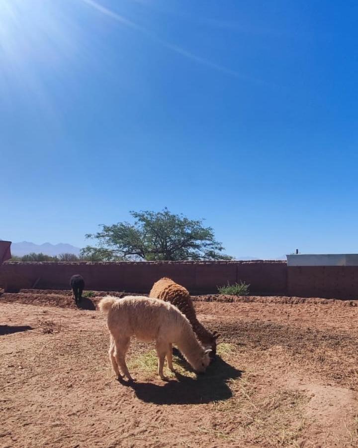 Cabanas Voyage Atacama サン・ペドロ・デ・アタカマ エクステリア 写真