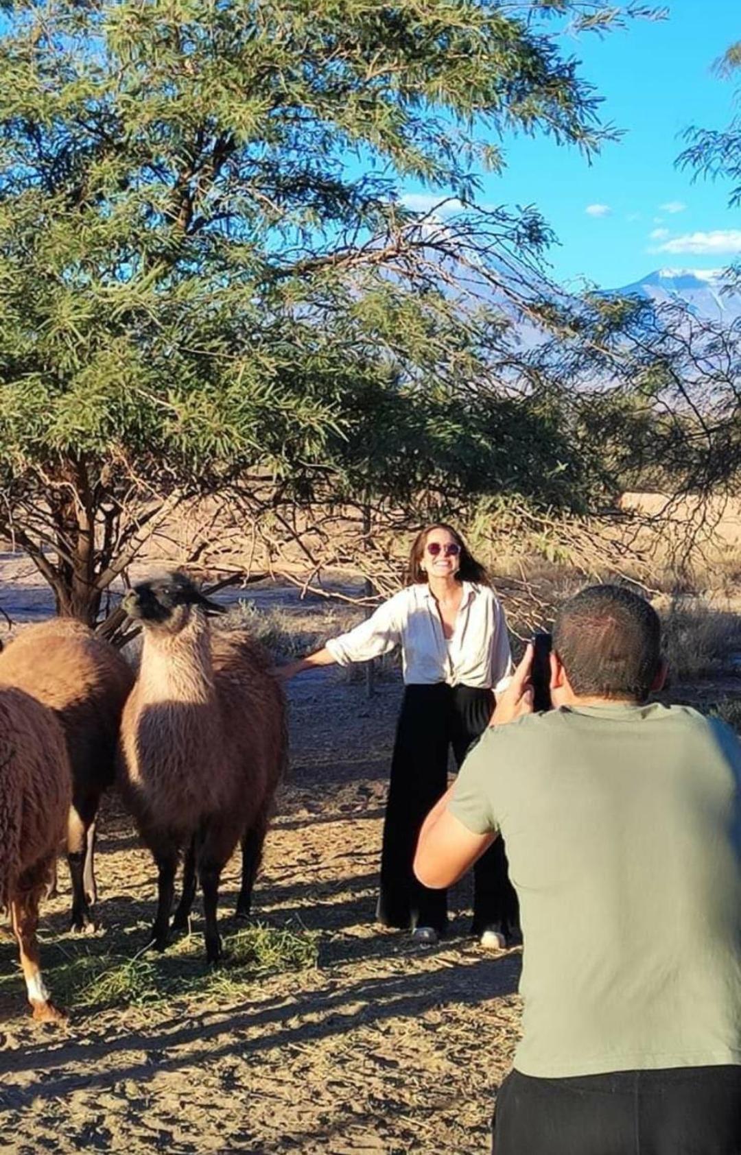 Cabanas Voyage Atacama サン・ペドロ・デ・アタカマ エクステリア 写真
