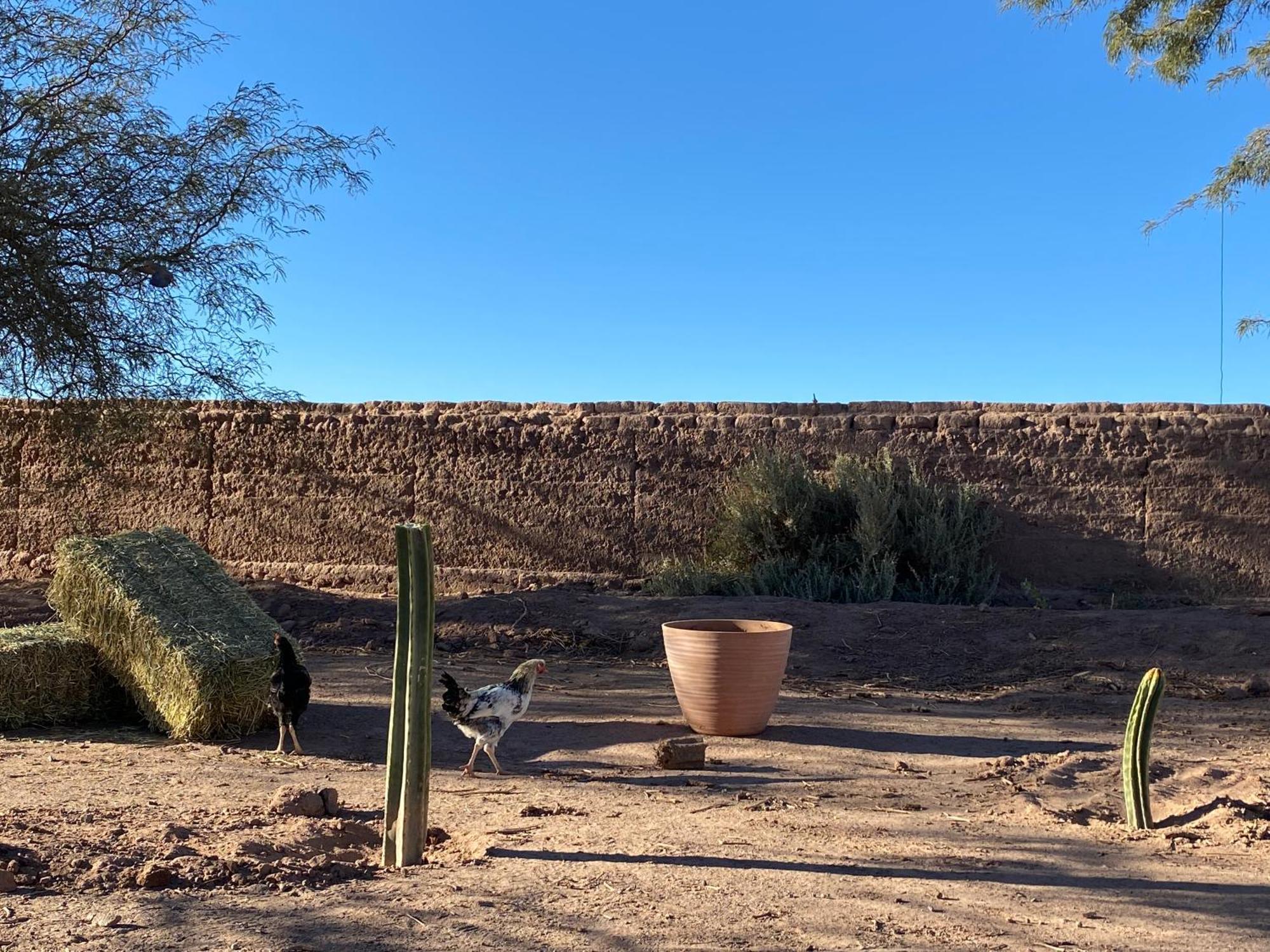 Cabanas Voyage Atacama サン・ペドロ・デ・アタカマ エクステリア 写真