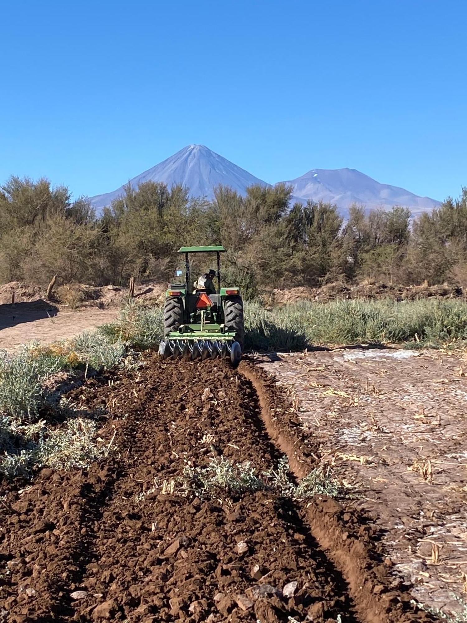 Cabanas Voyage Atacama サン・ペドロ・デ・アタカマ エクステリア 写真